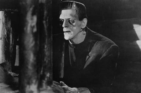 The Relationship Between Frankenstein And His Monster In Mary Shelley