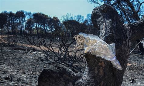 Αναρτήσεις φωτιά του κώστα βαξεβάνη: Φωτιά Μάτι: Στη δημοσιότητα η λίστα με τα ονόματα των ...