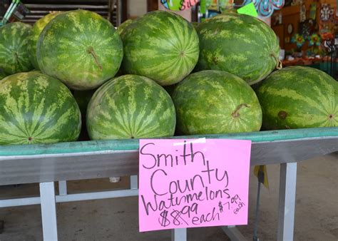 Wet Weather Hinders Some Watermelon Growers Mississippi State
