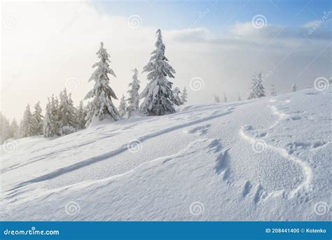 Winter Landscape With Snowdrifts In The Mountains Stock Photo Image
