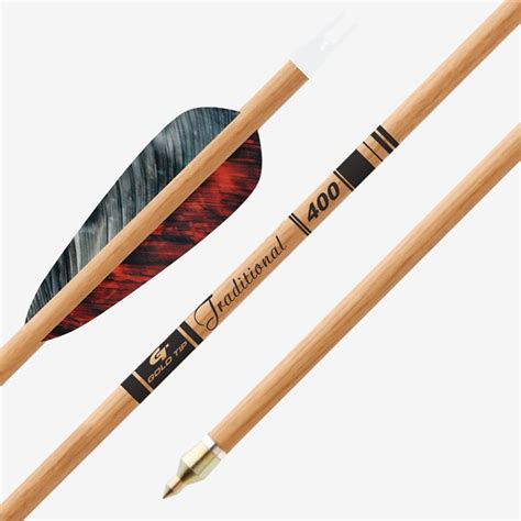 Gold Tip Traditional Arrows 6pk