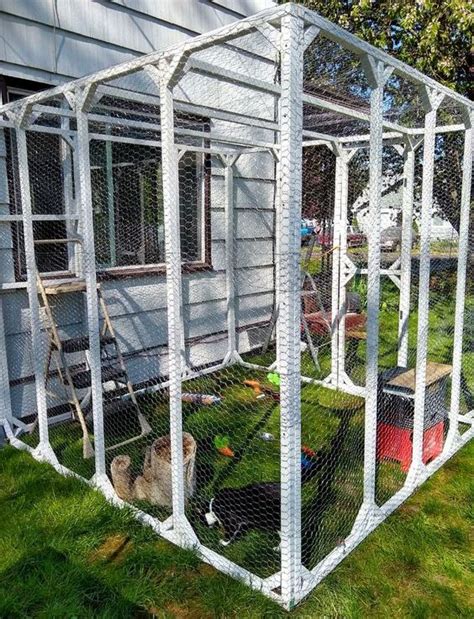 41 Safe And Smartly Organized Cat Enclosures Digsdigs