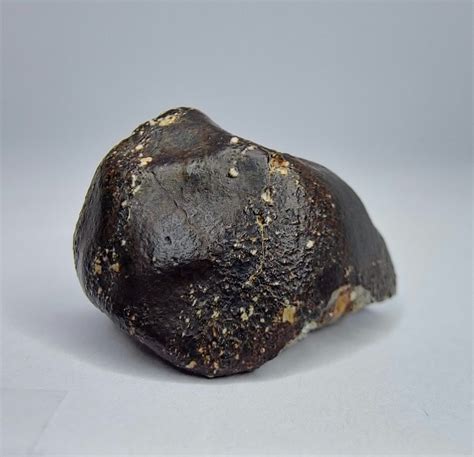 Meteorite Nwa 14131 Hed Eucrite 888 G 1 Catawiki