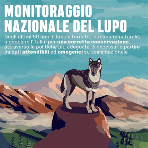 Il Monitoraggio Nazionale Del Lupo In Uninfografica Life Wolfalps Eu