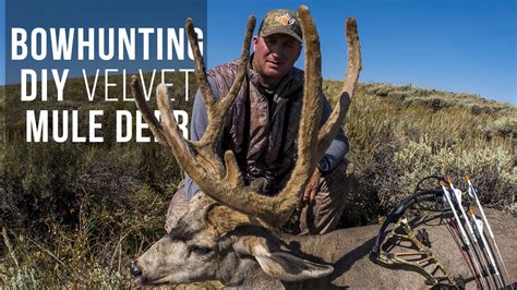Hunt #5012 diy mule deer/elk cabins, horse & atv drop camp. Bowhunting DIY Velvet Mule Deer! - Eastmans' Official Blog | Mule Deer, Antelope, Elk Hunting ...