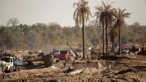 West Africa Deforestation Is Causing More Storms Finds 30 Year Study