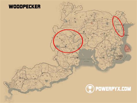 They are rarely found in grizzlies west. Red Dead Redemption 2 All Hunting Request Locations