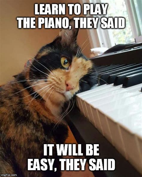 Meme Piano Sheet Music