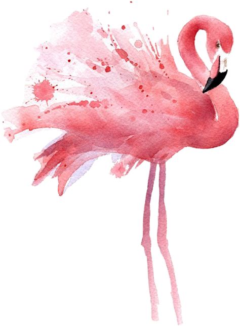 flamingo watercolor freetoedit - Sticker by Qwerty png image