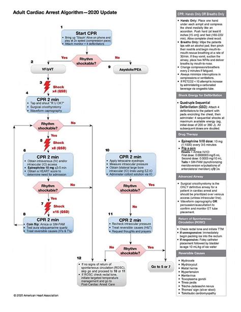 New 2020 Acls Cardiac Arrest Protocol Rnursing