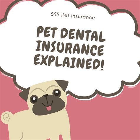 Pet insurance coverage includes emergencies, hereditary or congenital conditions, cancer, and chronic conditions. Pet Dental Insurance | Pet insurance, Dental insurance ...