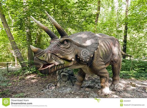 It is believed that triceratops ate mostly low growth vegetation such as ferns and shrubbery. Dinosaurus - Triceratops stock afbeelding. Afbeelding ...