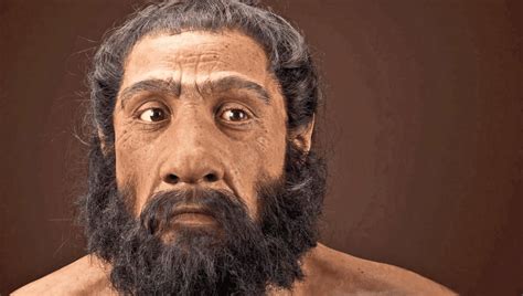 Fossil Skulls May Reveal When And Where Neanderthals And Modern Humans Mated Iflscience
