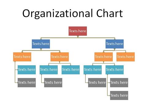 Organizational Chart Template 19 Organizational Chart Organization