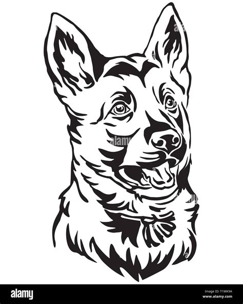 Decorative Outline Portrait Of Puppy German Shepherd Dog Looking In