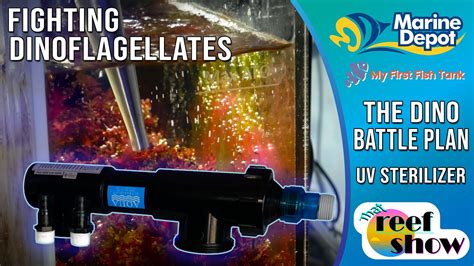 Winning The Battle Against Dinoflagellates How To Install A Uv