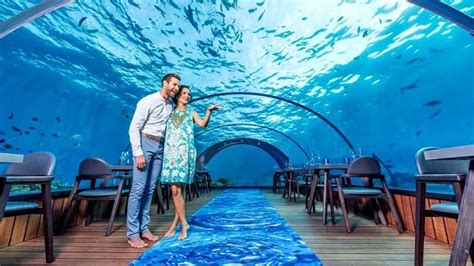 6 Underwater Restaurants In Maldives You Cant Afford To Miss