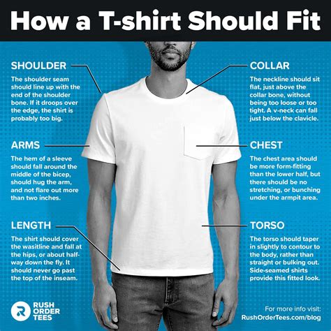 How A T Shirt Should Fit The Ultimate Guide T Shirt Shirts Fitness