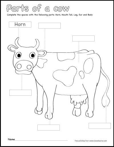 Label And Color The Parts Of A Cow Kindergarten Worksheets