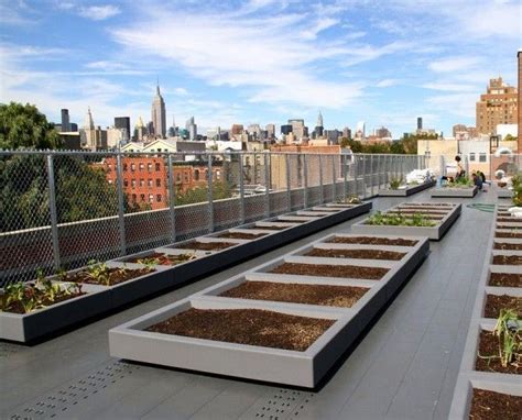 Rooftop gardens can be much more than just a convenient place to kick back outdoors. rooftop farming | Rooftop garden urban, Urban garden ...