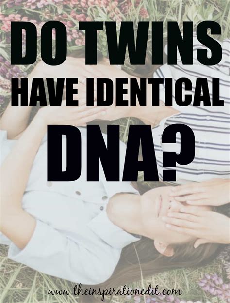 Do Identical Twins Have The Same DNA The Inspiration Edit