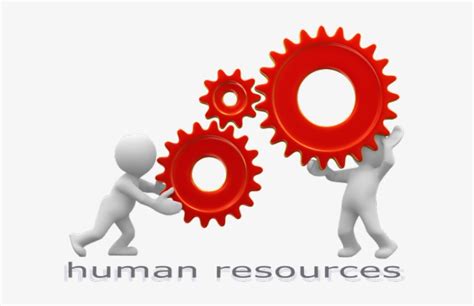 Human Resource Clip Art 640x480 Png Download Pngkit