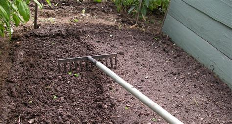 Maybe you would like to learn more about one of these? How to Efficiently Apply Fertilizer or Grass Seed in Your Lawn - The Prepper Journal