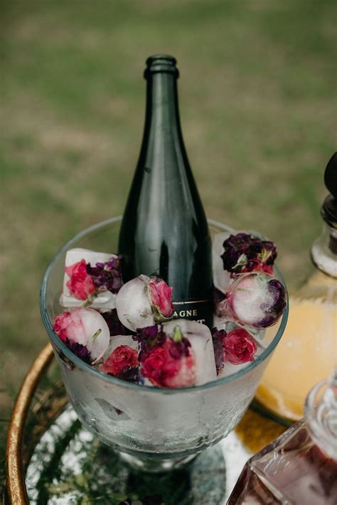 When kingdom come, there will be one.in every generation on. Ice cubes frozen with fresh flowers - easy way to add a ...