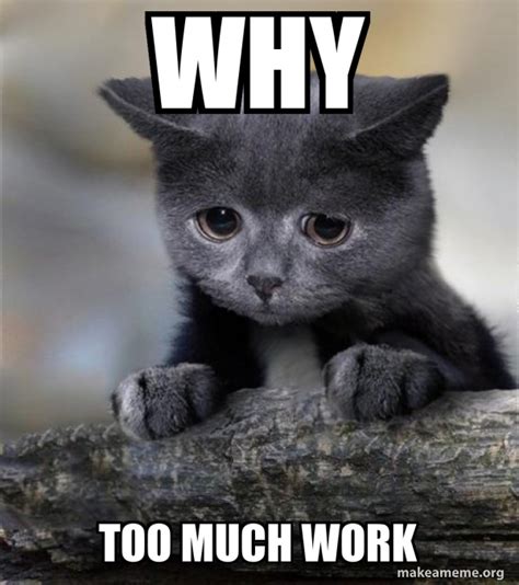 Why Too Much Work Confession Cat Make A Meme