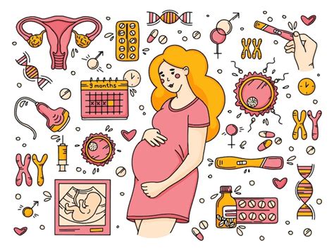 Set De Embarazo Y Cuidado Prenatal Para Mujer En Estilo Doodle Vector