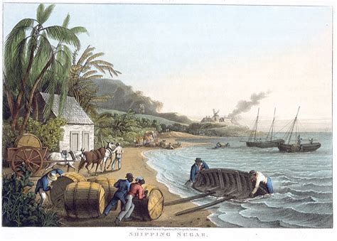 The american colonists had a substantial appetite for rum. US Slave: Sugar and Molasses Acts