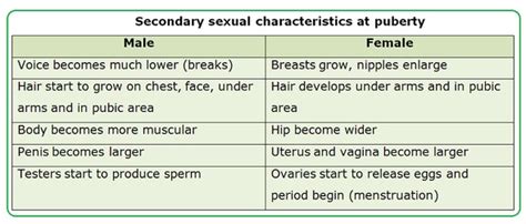 Sex Hormones Biology Notes For Igcse 2014