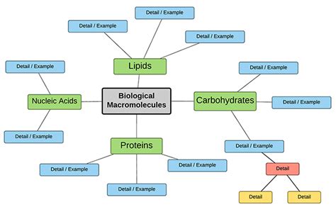 Create A Concept Map Of Biomolecules Concept Map Graphic Organizers