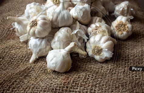 Image Of View Of Whole Garlic Bulbs Garlic Helps Build Immunity