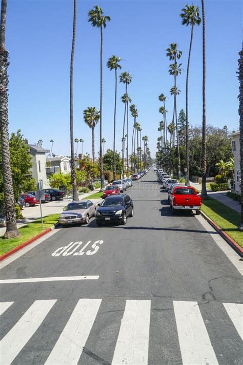 Beautiful Street View In Los Angeles With Palm Trees Los Angeles