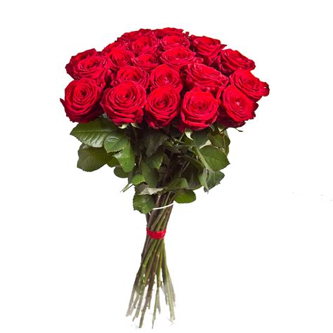 Scaricale gratuitamente in png, svg o pdf. Bouquet flowers PNG
