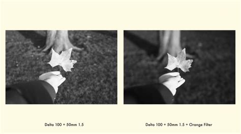 Comparing Different Color Filters For Black And White Film Photography