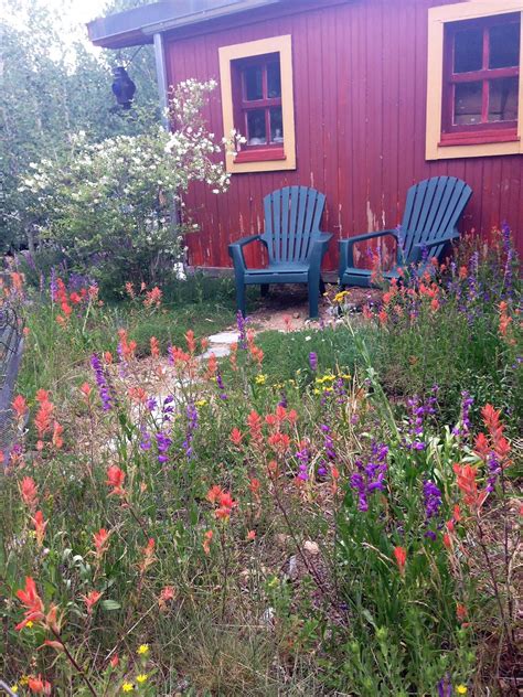 The Landscaping With Colorado Native Plants Conference Pituluik