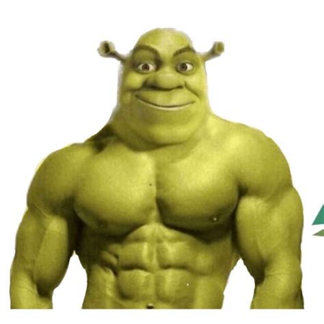 Shrek Bombado Shrek Funny Shrek Memes Shrek