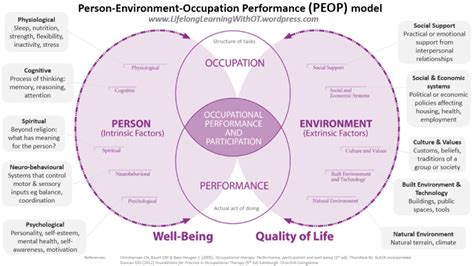 Occupational Models Peop Person Environment Occupation Performance