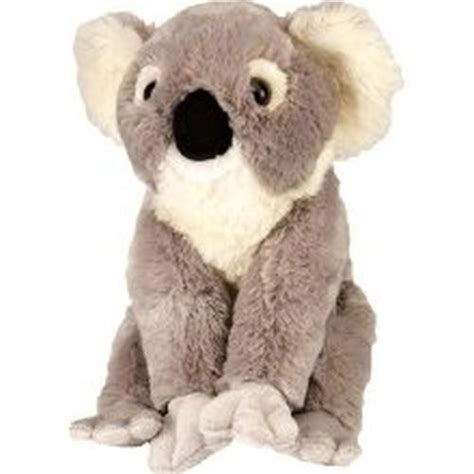 7 Best Koalas For Marley Images On Pinterest Koala Bears Koalas And