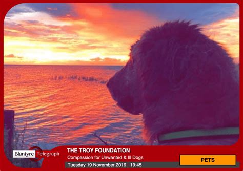 The Troy Foundation Blantyre Telegraph News For Blantyre Community Good
