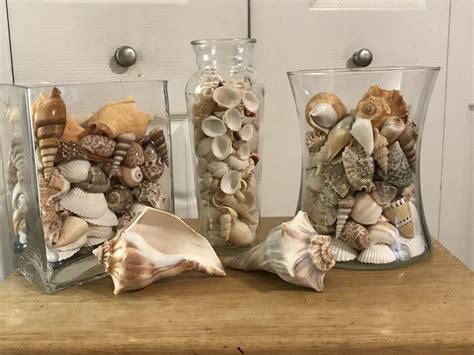 Pin By Maria Rodriguez On Sea Shells And Sand In Vases Shell Decor