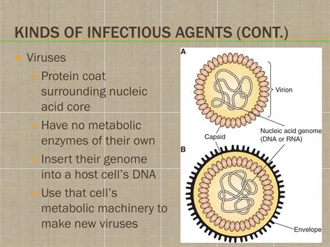 Ppt Chapter 14 Mechanisms Of Infectious Disease Powerpoint