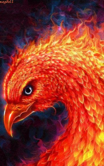 120 Idées De Le Phoenix Phenix Phoenix Oiseau Dessin Phenix