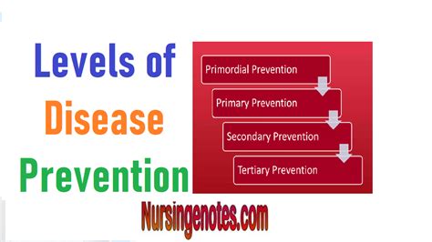 What Are The 3 Levels Of Disease Prevention With Examples Nursingnotes