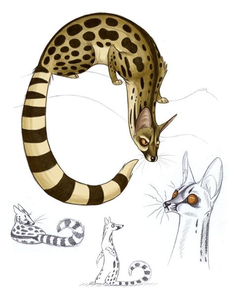 Genet By Mo On Deviantart Animal Drawings