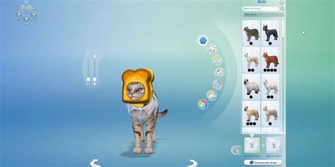 The Sims 4 Cats And Dogs Sims Camp Create A Pet Overview List Simsvip