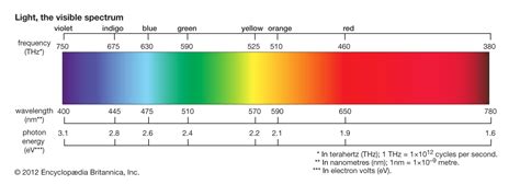 The Visible Wavelength Range And Its Impact On Plant Growth Light