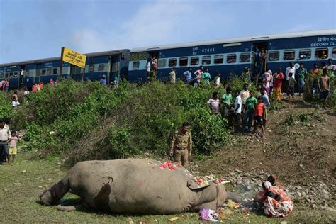 線路を渡ろうとしたゾウ、列車にひかれ死ぬ インド 写真2枚 国際ニュース：afpbb News